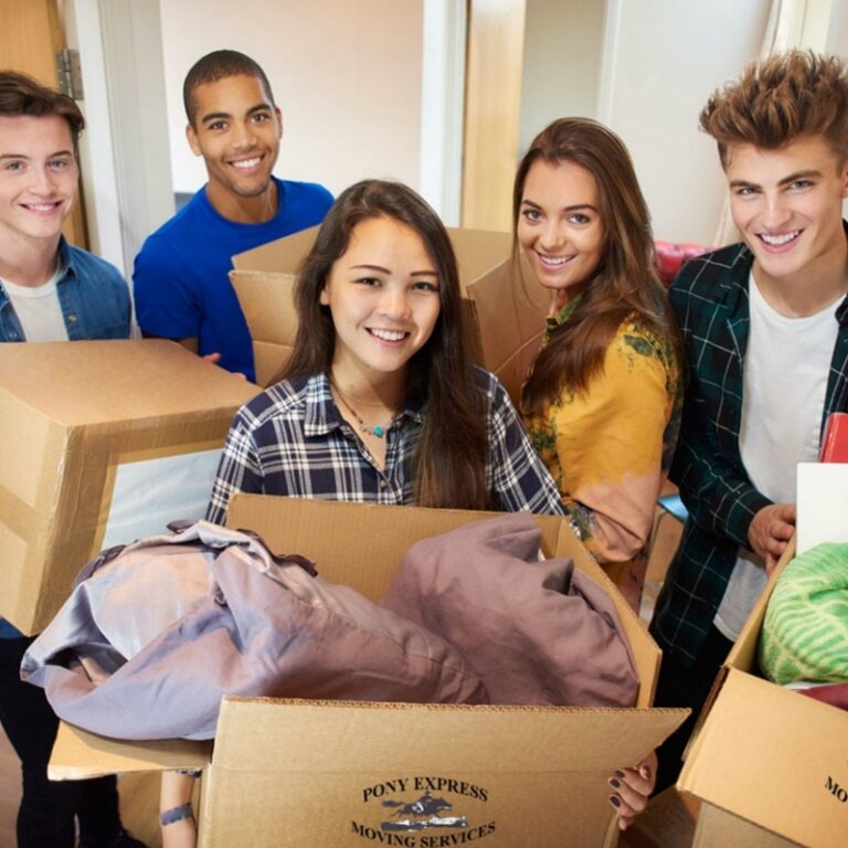 Auckland Furniture Movers Wellington Efficient Movers Mr Shifter